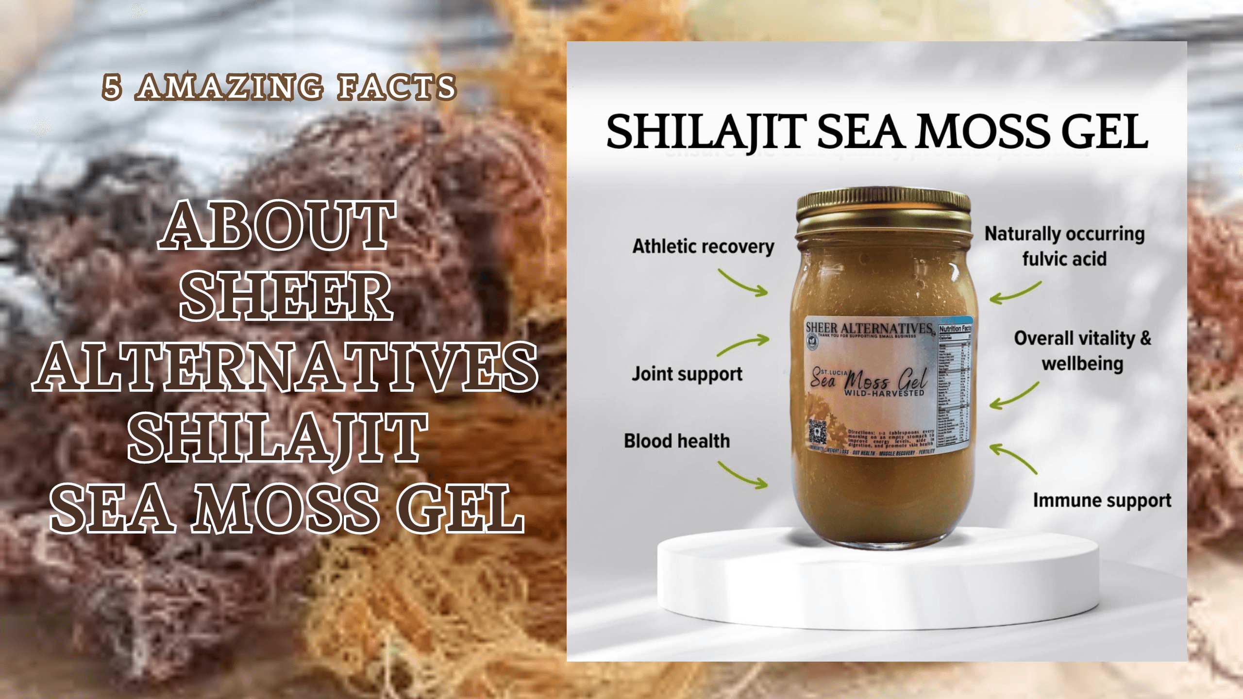 5 Amazing Facts About Sheer Alternatives Shilajit Sea Moss Gel