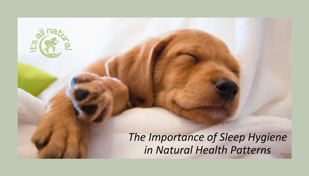 How To Get Good Sleep | Menopause and Sleep Habits