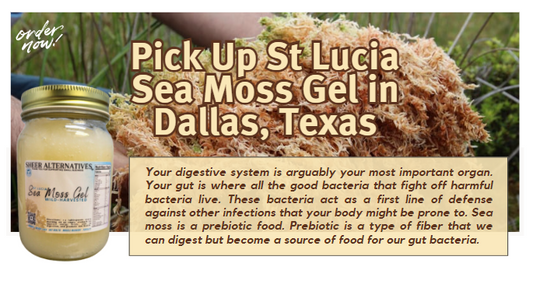 Pick Up St Lucia Sea Moss Gel in Dallas - Sheer Alternatives